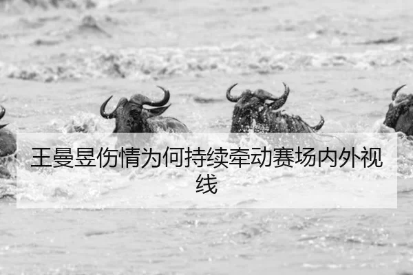 王曼昱伤情为何持续牵动赛场内外视线